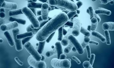 INFO KESEHATAN : Hati Hati Terhadap Kutil Kelamin Dan Penyebabnya