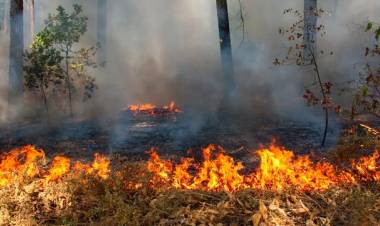 Kebakaran Hutan Harapan Sebagian Besar Terjadi di Area Konflik