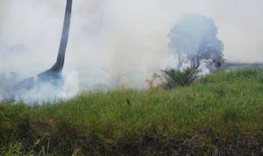 Hari Ini, BPBD Pastikan Jambi Bebas Titik Api