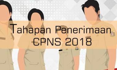 PENERIMAAN CPNS JAMBI: Dibutuhkan 316 CPNS Provinsi Jambi untuk Formasi Ini