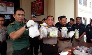 berita jambi hari ini