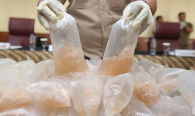 Polisi dan BKIPM Jambi Gagalkan Penyelundupan Baby Lobster Senilai Rp9,18 Miliar