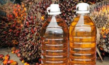 Harga CPO di Jambi Naik jadi Rp6.482 Per Kilogram