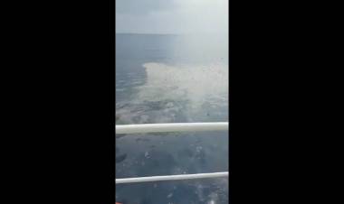 Sudah Ditemukan, Ini Penampakan Serpihan Pesawat Lion Air yang Jatuh