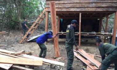 Dinas LH Batanghari Amankan Kayu Pembalakan Liar