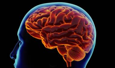 Dikira Tumor, Ternyata Infeksi Amuba Langka Pemakan Otak