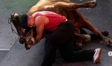 Sadis!!! Duel Sengit Jagoan Kungfu Vs Banteng