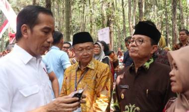Jokowi: Mana Tadi Mau Nanam Sawit, Kan! Banyak Bisa Ditanami