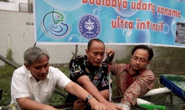 Teknologi Ini Jadi Mata Pencaharian Alternatif Nelayan