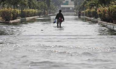 Banjir Rob Genangi Tiga Wilayah di Kelurahan Kamal Jakbar 