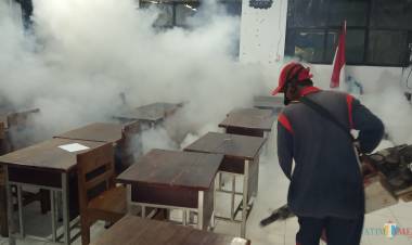 Kasus DBD Batanghari Meningkat, Begini Kata Kadinkes