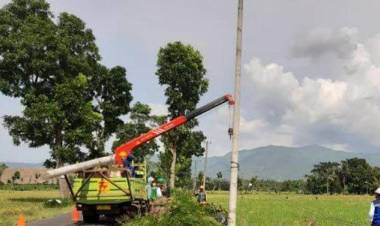 Angin Kencang Bikin 93.325 Pelanggan PLN Jember Kehilangan Listrik