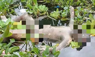 Lima Hari Tenggelam di Batang Merao, Jenazah Hafiz Ditemukan di Danau Kerinci