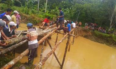 Respon Pemkab Sarolangun Lambat, Warga Pulau Aro Gotong Royong Bangun Jembatan