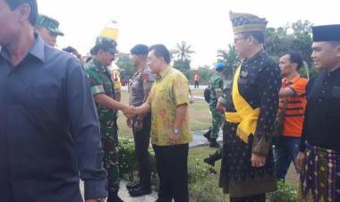 Cek Karhutla, Panglima-Kapolri Langsung ke Pulau Rupat