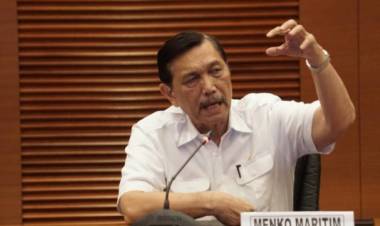 Soal Diskriminasi Sawit, Luhut: Kami Seperti Minta-minta, Kami Bukan Pengemis