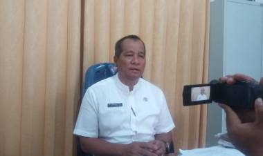 Ini Idealnya Jumlah Bidan Sarolangun