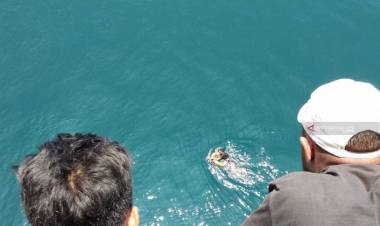 Heboh Seorang Penumpang KM Ciremai Lompat ke Laut