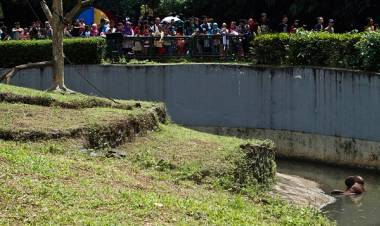 Cukup Tunjukkan Jari, Pengunjung Nyoblos Pemilu Gratis Masuk Ragunan
