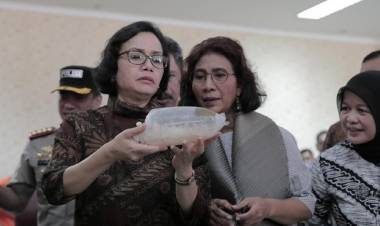 Selundupkan Bayi Lobster Rp19,5 Miliar, Warga Jambi Dicokok TNI AL Palembang