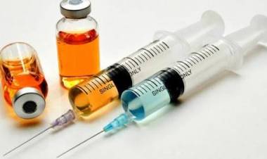 150 CJH Muarojambi Divaksin Meningitis, Sekdis: Wajib dan Syarat untuk Diberangkatkan