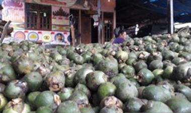 Jelang Puasa, Harga Kolang-Kaling Mulai Merangkak Naik