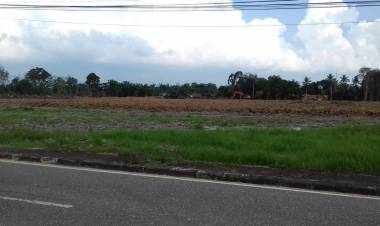 Tak Berizin Pembangunan Perumahan di Pintu Masuk Perkantoran Bupati Muarojambi, Begini Reaksi Sekda...