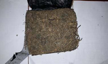 Kirim Ganja 8 Kilo Lewat J&T dari Jawa ke Jambi, 2 Pemuda Divonis 14 Tahun