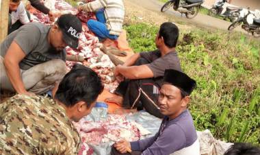 Bupati Romi Sembelih 7 Sapi Lalu Bagikan Ribuan Sembako dan Sarung