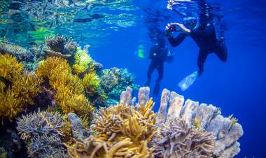 Lima Destinasi yang Disebut Surga Ikan Raja Ampat