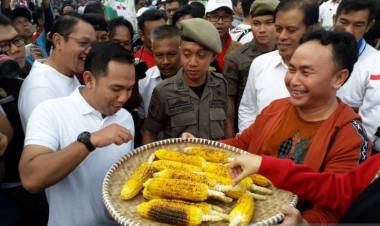 Pecahkan Rekor Muri Bakar Jagung 62 Ribu Tongkol
