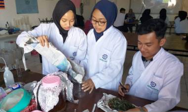 Mahasiswa UMBandung olah Daun Cincau Jadi Kapsul Anti Inflamasi