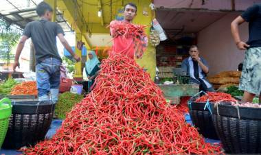 Harga Cabai Merah di Baturaja Capai Rp100.000/Kilogram