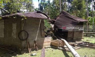 12 Ekor Gajah Mengamuk Rusak Rumah Warga di Nagan Raya Aceh