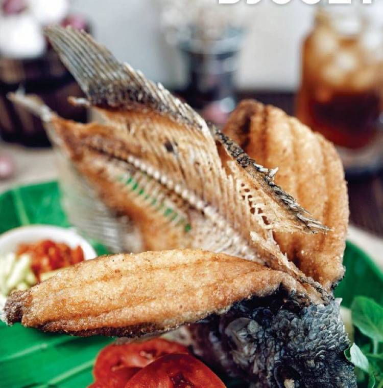 Anda Mahasiswa Baru Undip? Ini 5 Pilihan Tempat Makan Dekat Tembalang Semarang  