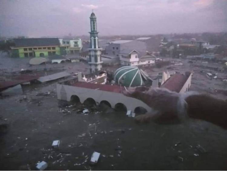 Panjat Pohon Setinggi 6 Meter, Warga Palu Ini Masih Terkena Terjangan Tsunami