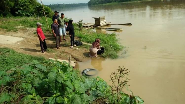 Ritual Darah Kerbau Dibuang ke Sungai, Buaya Ganas di Tebo Langsung Muncul 