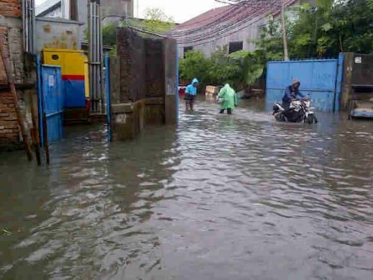 Hujan Deras Begini Nasib Kelurahan Kapuk Jakarta Barat