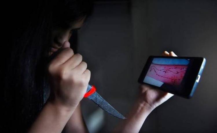 Parlemen Mesir Pertimbangkan akan Larang Game-Hp Kontroversial