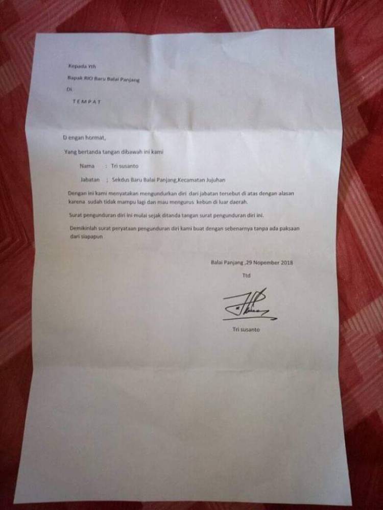 Diduga Tak Sejalan! Sekdes Balai Panjang Bungo Mundur