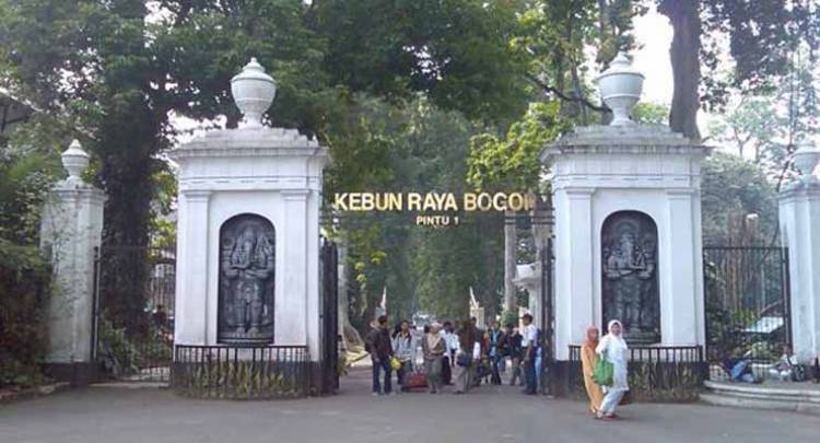 Berpotensi Bahaya, Kebun Raya Bogor Ditutup Sementara