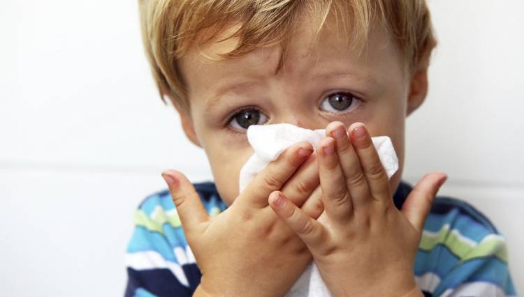 Rahasia Sup Ayam Meredakan Flu