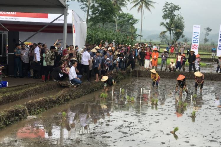 Presiden Ajak Ngobrol Soal KUR dan Pinjaman Bang ke Petani Garut di Pinggir Sawah