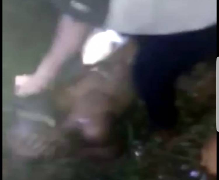 Gasak Uang Majikan, Winarno Babak Belur Dihakimi Massa