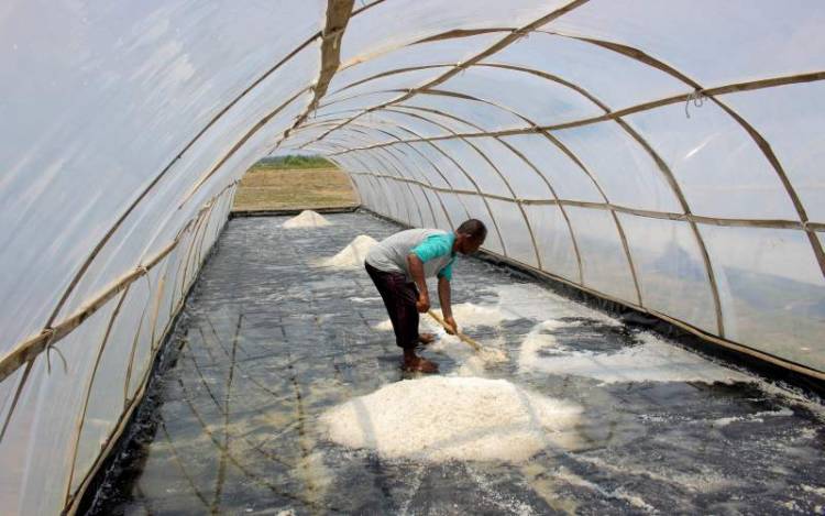 Harga Garam di Probolinggo Masih Jeblok