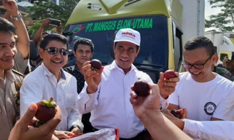 Mentan: Satu Semut Masuk di Manggis Kita Berdampak Besar Bagi Ekspor!