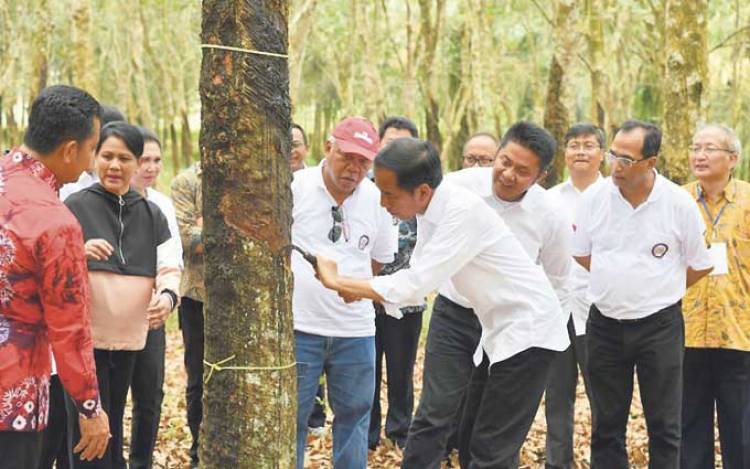 Herman Deru Sebut Presiden Setuju Pabrik Ban Berdiri di Sumsel
