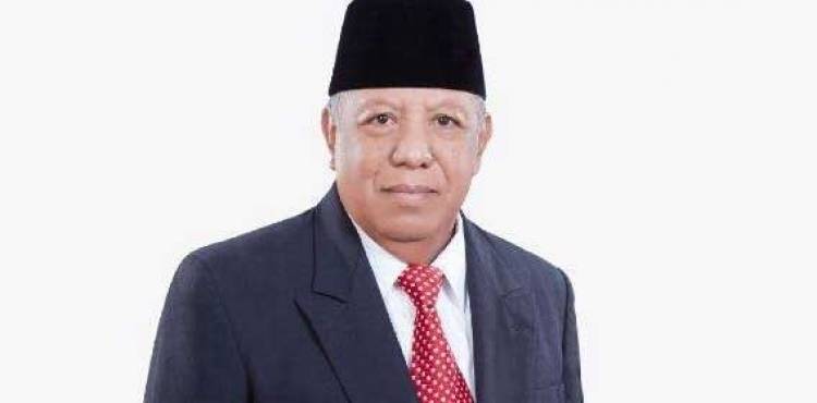Diusulkan jadi Wakil Gubernur Dampingi Fachrori Umar, Begini Reaksi Madel