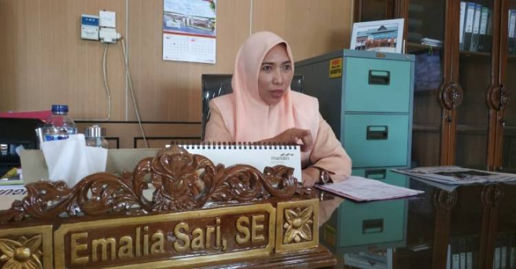 Baru 39 Desa di Sarolangun Mengajukan Pencairan DD Tahap 1