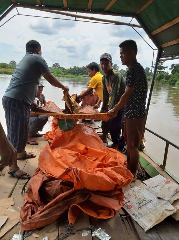 Jenazah Warga Teluk Pandak Jatuh ke Sungai Akhirnya Ditemukan